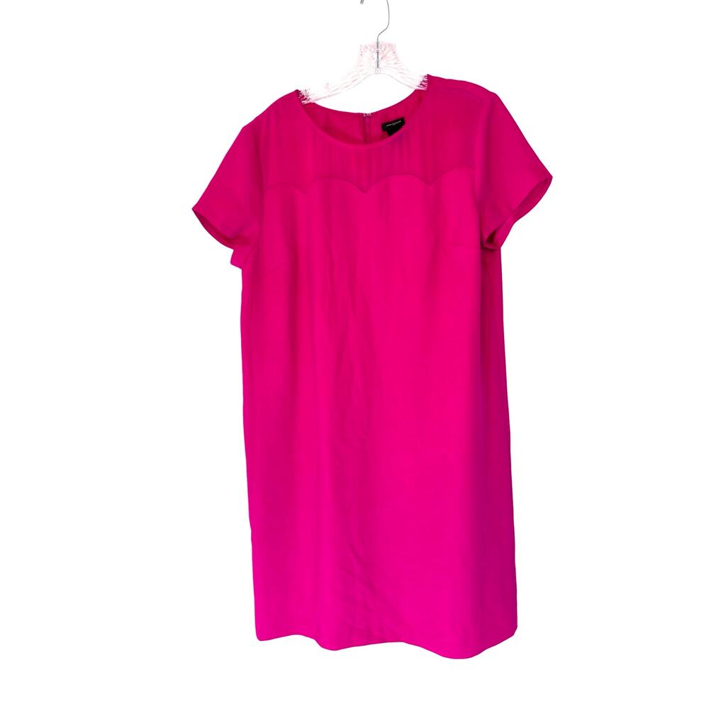 Ann Taylor Dress Pink Plus Short Sleeve Semi‎ Sheer Office Work Business Size 16